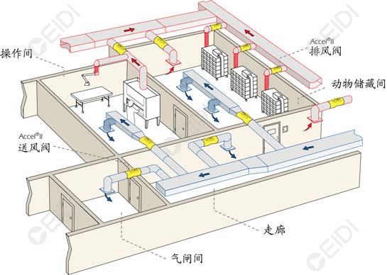 動物房潔凈室空調(diào)設(shè)計：開放式籠架具屏障環(huán)境送回風(fēng)設(shè)計要點  CEIDI西遞